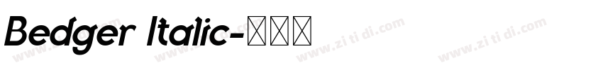 Bedger Italic字体转换 Bedger Italic字体转换